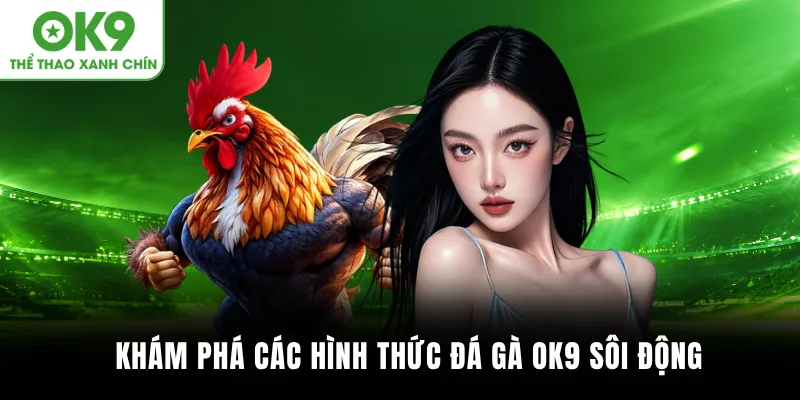 Khám phá các hình thức đá gà OK9 sôi động