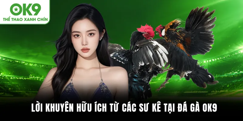 Lời khuyên hữu ích từ các sư kê tại đá gà OK9